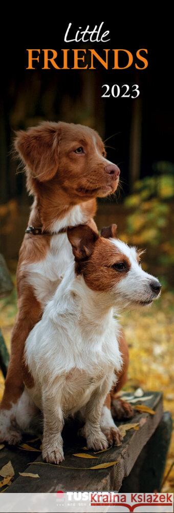 Little Friends 2023  9783959291118 Tushita - książka