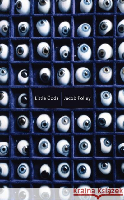 Little Gods Jacob Polley 9780330444200 PAN MACMILLAN - książka