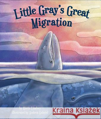 Little Gray's Great Migration Marta Lindsey Andrea Gabriel 9781628554526 Sylvan Dell Publishing - książka