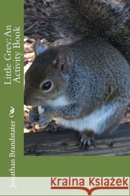 Little Grey: An Activity Book Jonathan Jay Brandstater 9781545304952 Createspace Independent Publishing Platform - książka