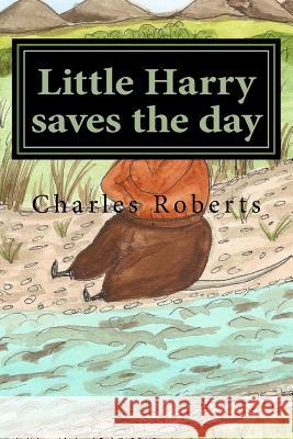 Little Harry saves the day Charles Roberts 9781986998154 Createspace Independent Publishing Platform - książka