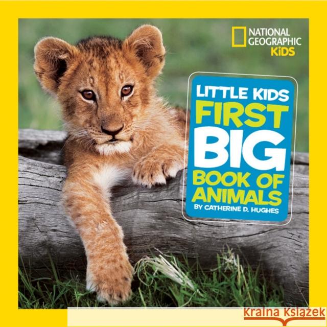 Little Kids First Big Book of Animals Catherine D Hughes 9781426307041 National Geographic Kids - książka