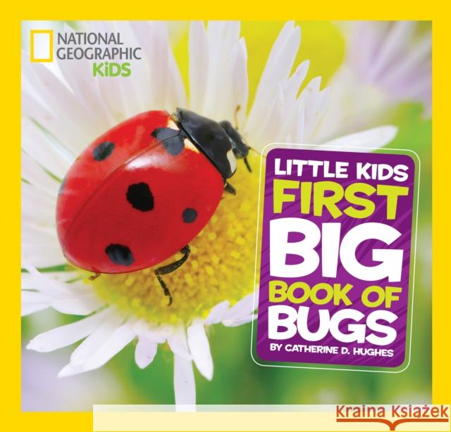 Little Kids First Big Book of Bugs Catherine D. Hughes 9781426317231 National Geographic Society - książka