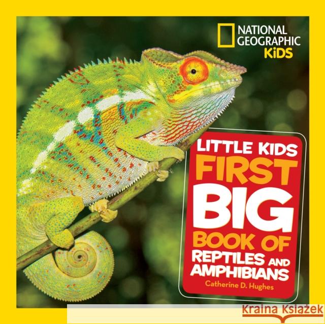 Little Kids First Big Book of Reptiles and Amphibians Catherine D. Hughes 9781426338182 National Geographic Kids - książka