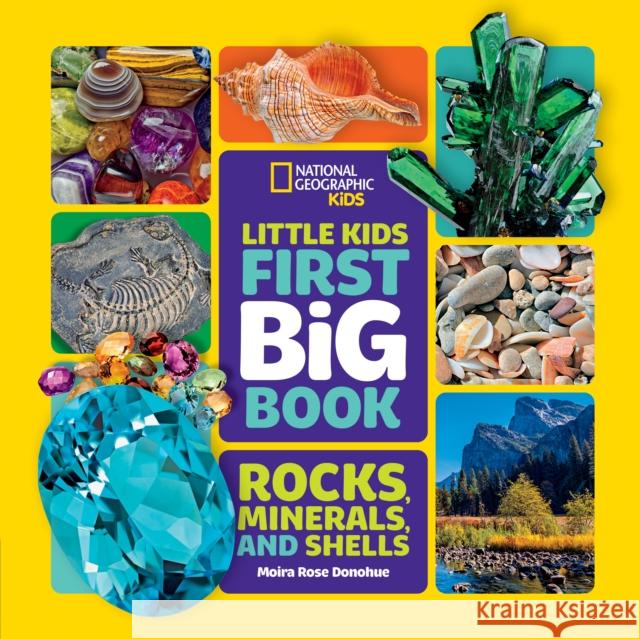 Little Kids First Big Book of Rocks, Minerals and Shells National Geographic Kids 9781426372223 National Geographic Kids - książka