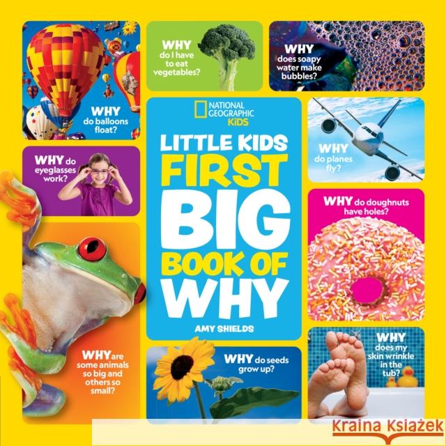 Little Kids First Big Book of Why Amy Shields 9780008825287 HarperCollins Publishers - książka