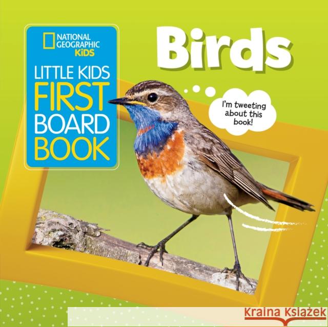 Little Kids First Board Book: Birds Ruth Musgrave 9781426371448 National Geographic Kids - książka