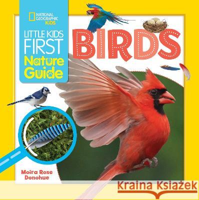 Little Kids First Nature Guide Birds Moira Rose Donohue 9781426375460 National Geographic Kids - książka