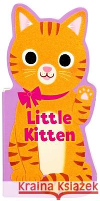 Little Kitten Maggie Fischer Yi-Hsuan Wu 9781667210438 Silver Dolphin Books - książka