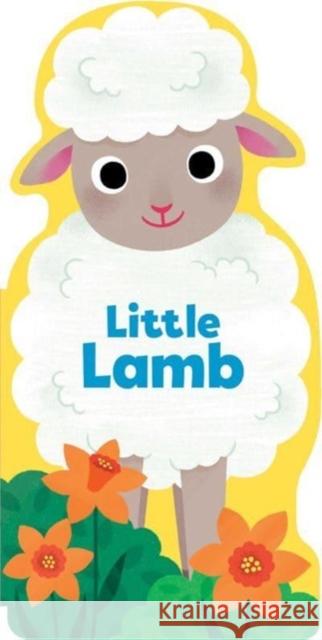 Little Lamb Maggie Fischer 9781667206103 Silver Dolphin Books - książka