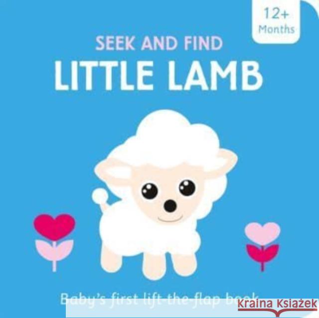 Little Lamb Amber Lily, Maaike Boot 9781801050722 Imagine That Publishing Ltd - książka