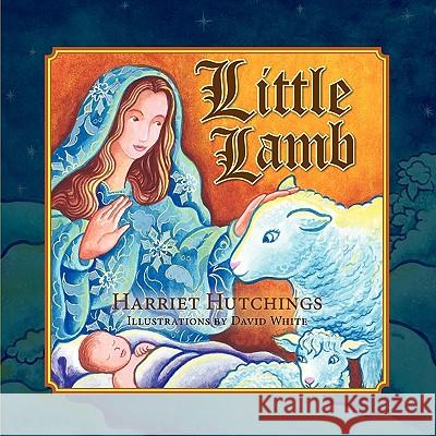 Little Lamb Harriet Hutchings David White 9781936343539 Peppertree Press - książka