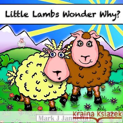 Little Lambs Wonder Why? Zondervan Bibles 9781493560981 Zondervan - książka