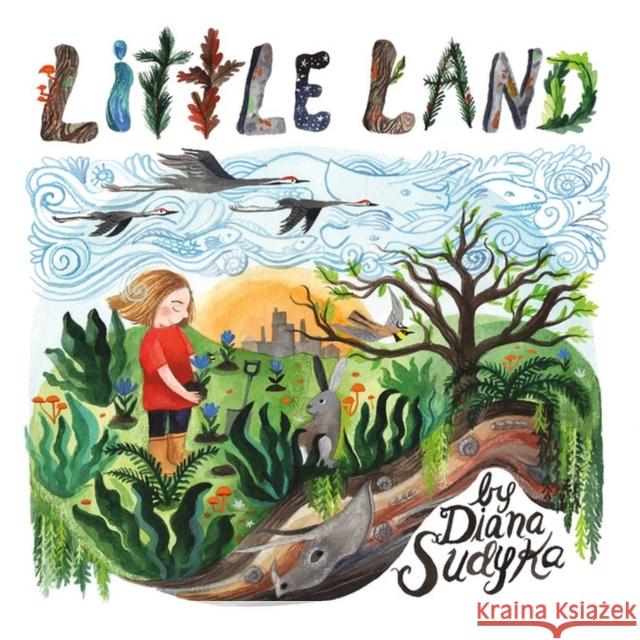 Little Land Sudyka, Diana 9780316301763 Little, Brown & Company - książka