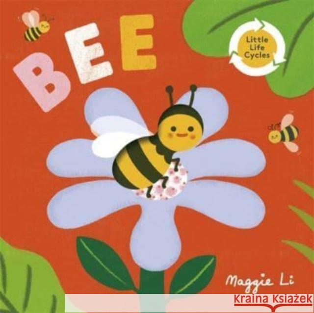 Little Life Cycles: Bee Maggie Li 9781800785960 Templar Publishing - książka