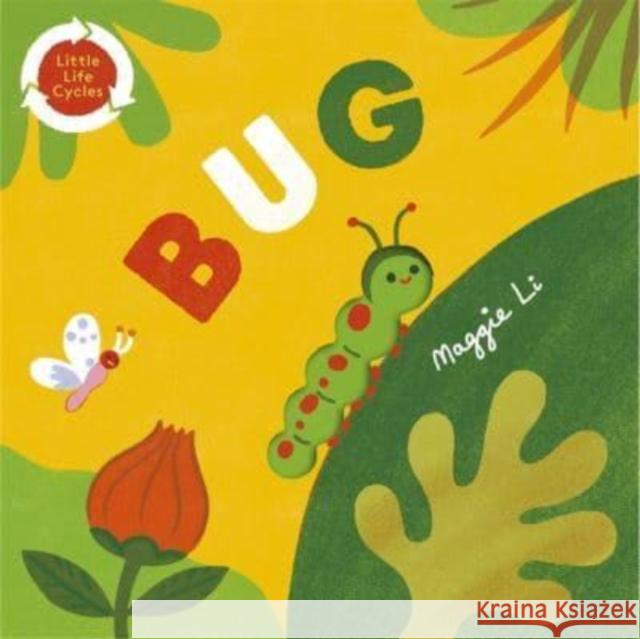 Little Life Cycles: Bug Maggie Li 9781800780903 Templar Publishing - książka