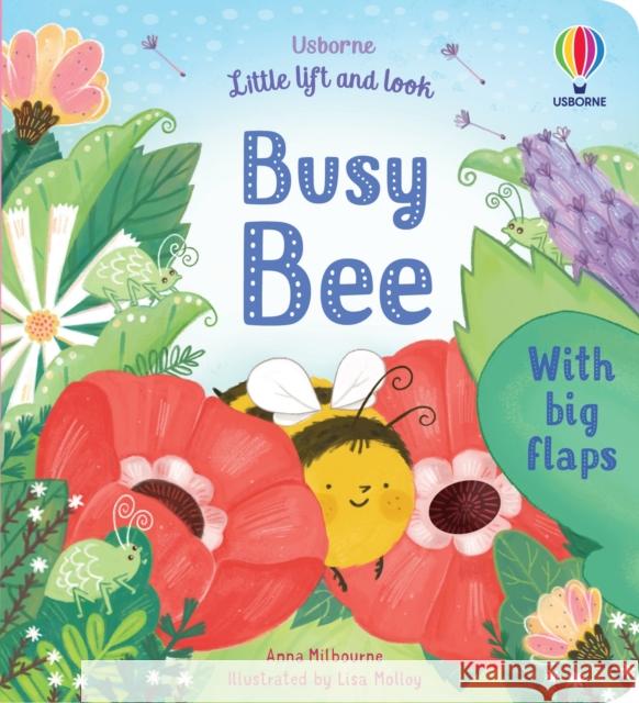 Little Lift and Look Busy Bee Anna Milbourne 9781474997744 Usborne Publishing Ltd - książka