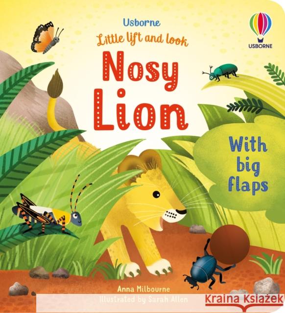 Little Lift and Look Nosy Lion Sarah Allen Anna Milbourne  9781474994712 Usborne Publishing Ltd - książka