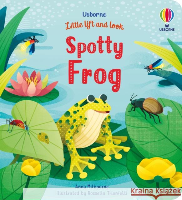 Little Lift and Look Spotty Frog ANNA MILBOURNE 9781474986052 Usborne Publishing Ltd - książka