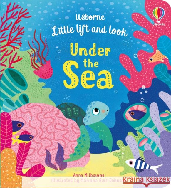 Little Lift and Look Under the Sea Anna Milbourne 9781474952965 Usborne Publishing Ltd - książka