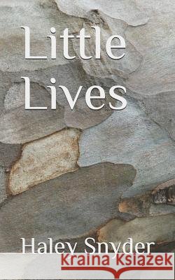 Little Lives Haley Snyder 9781795445283 Independently Published - książka