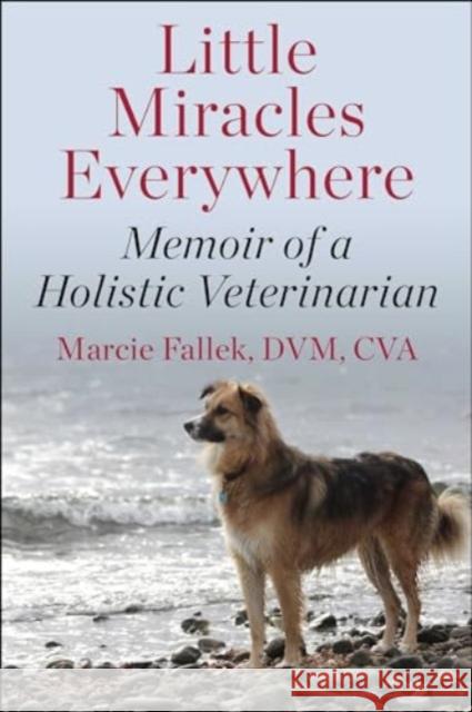 Little Miracles Everywhere: My Unorthodox Path to Holistic Veterinary Medicine Marcie Fallek 9781510782020 Skyhorse Publishing - książka