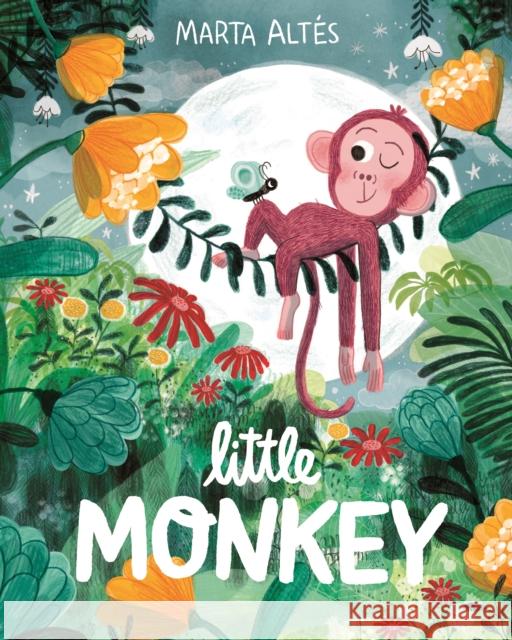 Little Monkey Marta Altes 9781035027293 Pan Macmillan - książka