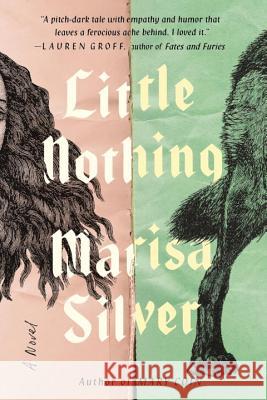 Little Nothing Silver, Marisa 9780399185809 Blue Rider Press - książka