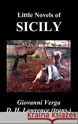 Little Novels of Sicily (Novelle Rusticane) Verga, Giovanni 9781849025058 Benediction Classics - książka