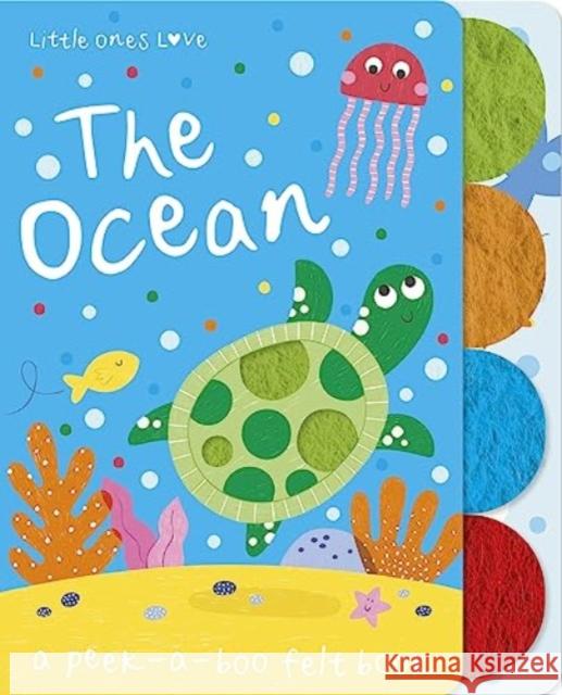 Little Ones Love the Ocean Holly Hall 9781801057677 Imagine That Publishing Ltd - książka