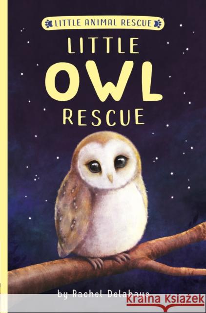 Little Owl Rescue Rachel Delahaye Suzie Mason Artful Doodlers 9781664340114 Tiger Tales - książka