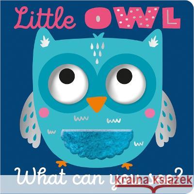 Little Owl What Can You See? Cara Jenkins Jess Moorhouse 9781803377483 Make Believe Ideas - książka