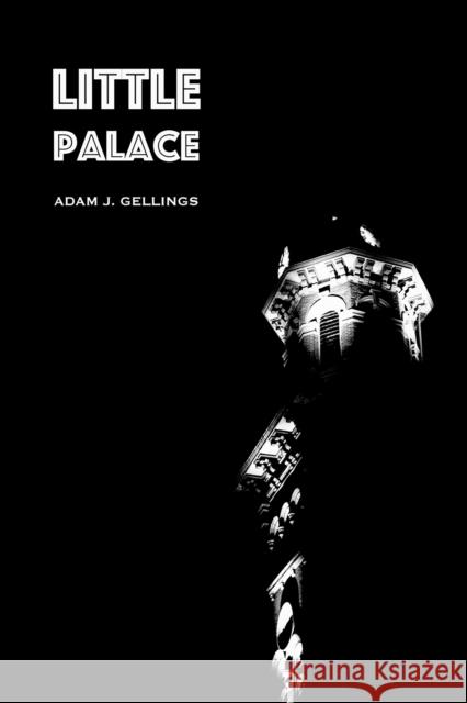 Little Palace Adam Gellings 9781622889266 Stephen F. Austin State University Press - książka