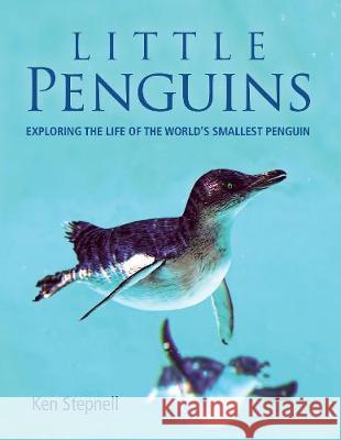 Little Penguins: Exploring the life of the world's smallest penguin Ken Stepnell 9781921517969 New Holland Publishers - książka