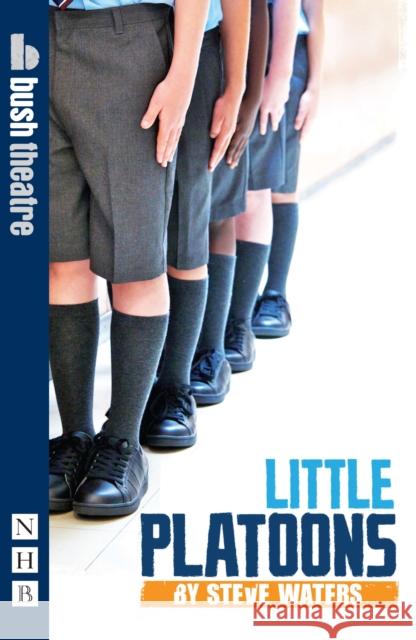 Little Platoons Waters, Steve 9781848421516  - książka