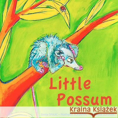 Little Possum Catherine Johann Sinisa Spajic Nathalie Johann 9781477469378 Createspace - książka