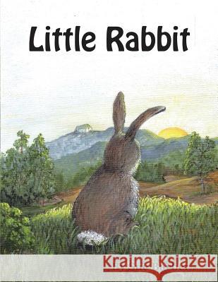 Little Rabbit Sue Barber 9781483425801 Lulu Publishing Services - książka