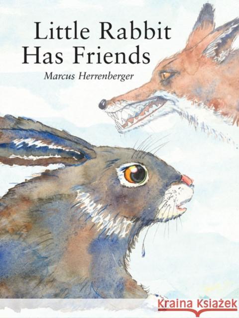 Little Rabbit Has Friends Marcus Herrenberger 9789888341092 mineditionUS - książka