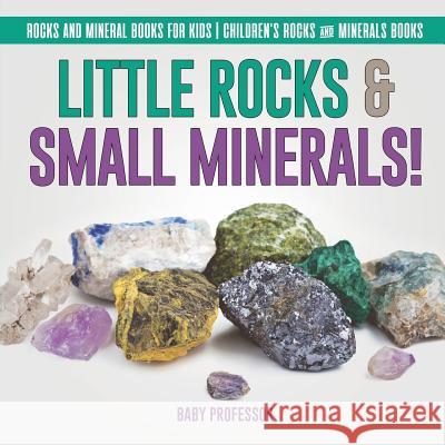 Little Rocks & Small Minerals! Rocks And Mineral Books for Kids Children's Rocks & Minerals Books Baby Professor 9781541917224 Baby Professor - książka