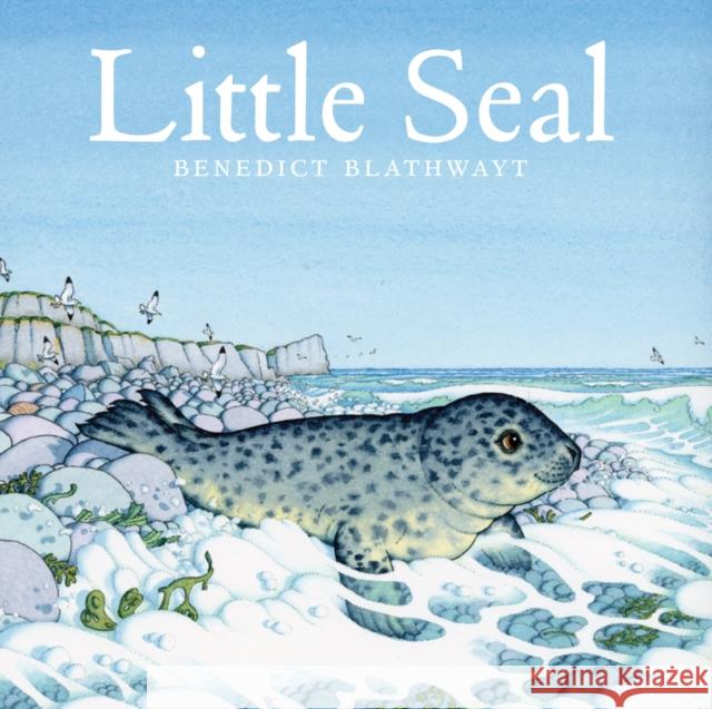 Little Seal Benedict Blathwayt 9781780274607 Birlinn General - książka
