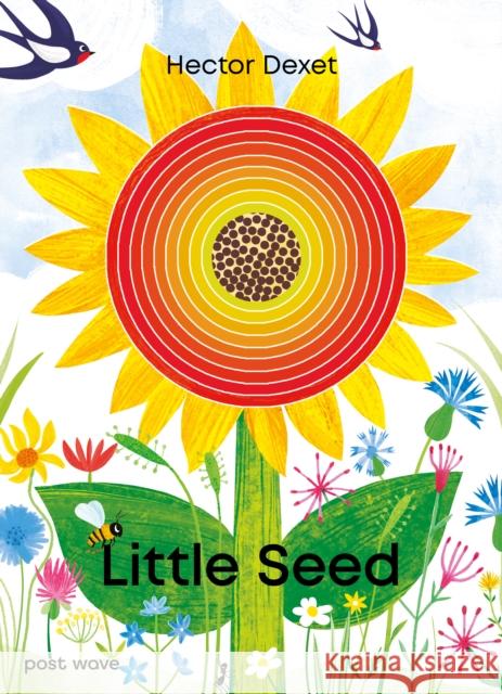 Little Seed Hector Dexet 9781836270140 Post Wave Children's Books - książka