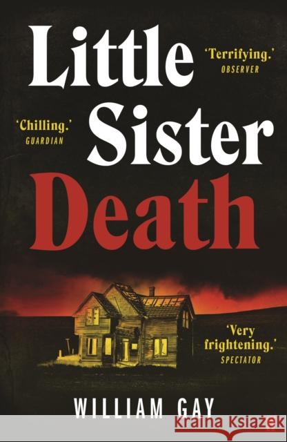 Little Sister Death William Gay 9780571325726 Faber & Faber - książka