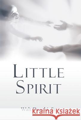 Little Spirit Walt Deecki, Sr 9781973662488 WestBow Press - książka