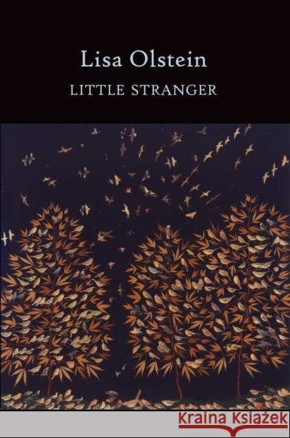 Little Stranger Lisa Olstein 9781556594328 Copper Canyon Press - książka