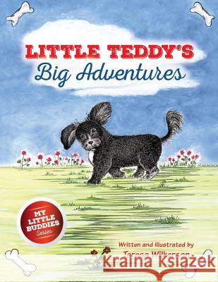 Little Teddy's Big Adventures Teresa Wilkerson Teresa Wilkerson 9781939289520 Little Creek Books - książka