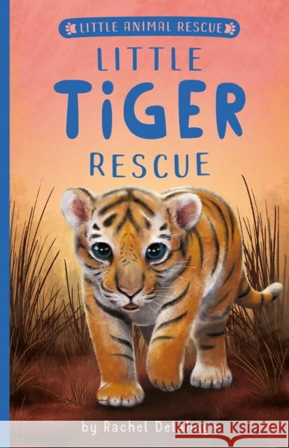Little Tiger Rescue Rachel Delahaye Suzie Mason Artful Doodlers 9781680104806 Tiger Tales. - książka