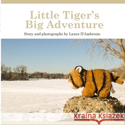 Little Tiger's Big Adventure Laura D'Ambrosio 9780997133509 Laughing Paw - książka