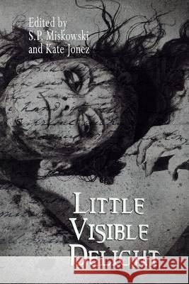 Little Visible Delight Lynda E. Rucker S. P. Miskowski Kate Jonez 9780615932248 Omnium Gatherum Media - książka