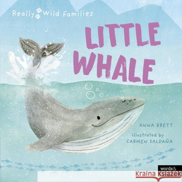 Little Whale: A Day in the Life of a Whale Calf Anna Brett 9780711283541 Quarto Publishing PLC - książka