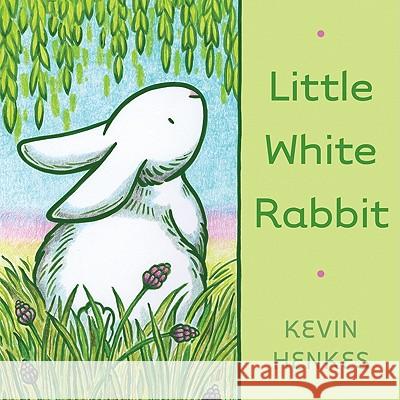Little White Rabbit Kevin Henkes Kevin Henkes 9780062006424 Greenwillow Books - książka